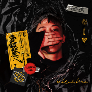 株洲光盘厂家用小驴营销导航
