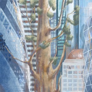 株洲光盘厂家用小驴营销导航
