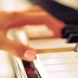 株洲光盘厂家用小驴营销导航
