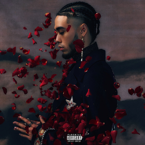 株洲光盘厂家用小驴营销导航
