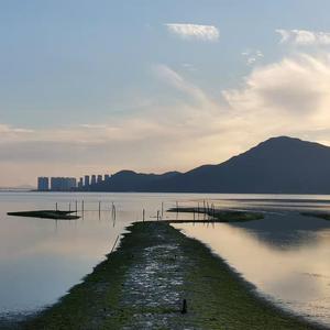 株洲光盘厂家用小驴营销导航
