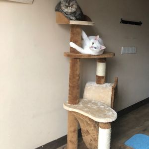 株洲光盘厂家用小驴营销导航
