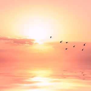 株洲光盘厂家用小驴营销导航
